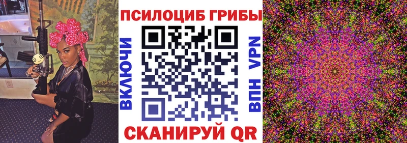 Псилоцибиновые грибы Psilocybe Няндома