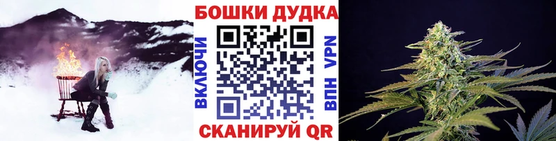 хочу наркоту  Няндома  МАРИХУАНА Amnesia 